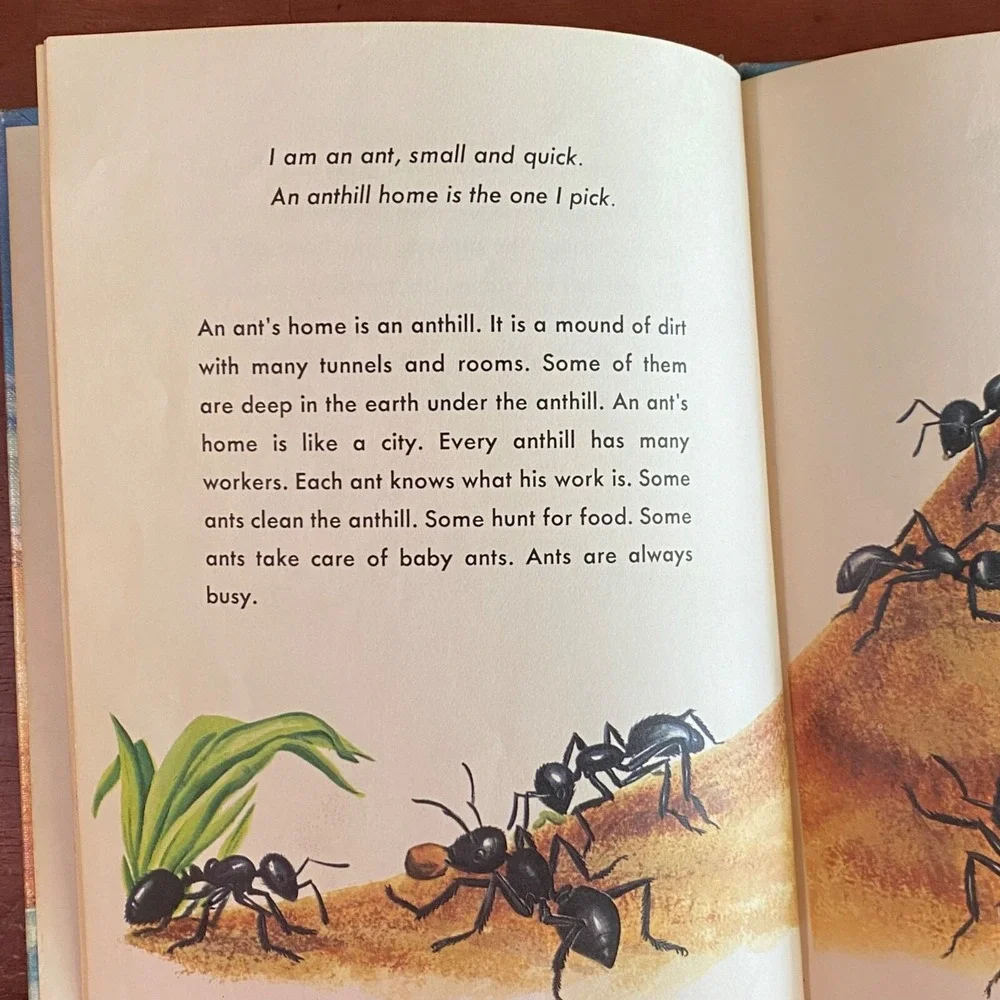 This Home For Me Hardcover Solveig P. Russell